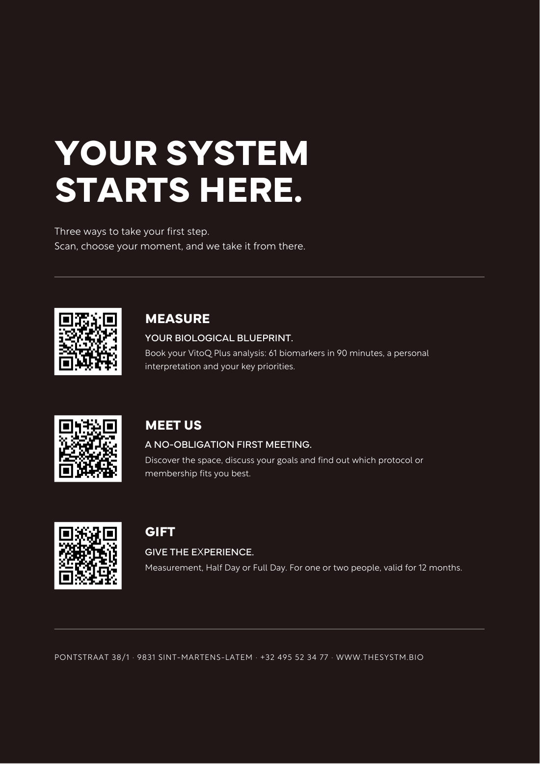 THE SYSTM Magazine 33