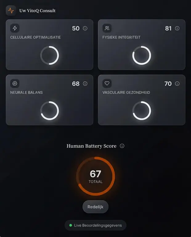 Uw VitoQ-consult: vier domeinscores en de Human Battery Score
